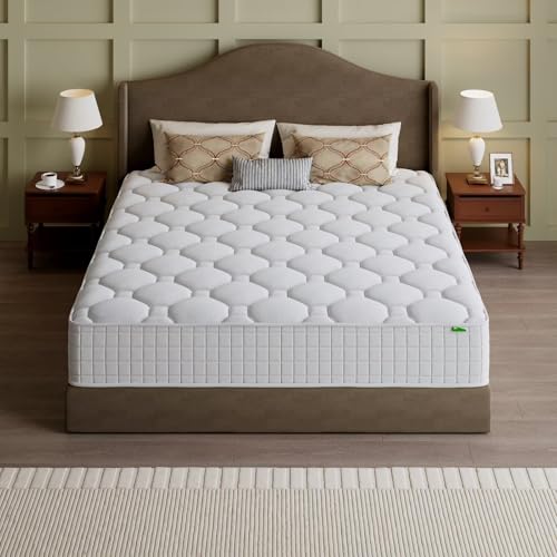 Queen Mattress, 14 Inch Hybrid - Memory Foam Mattress In A Box Queen review and price